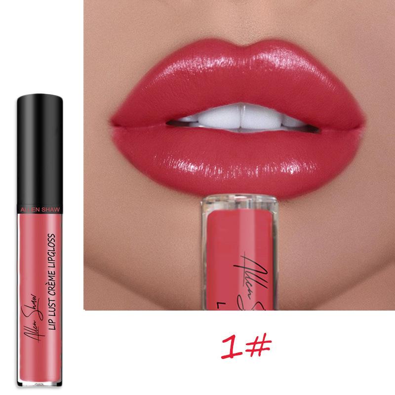 LS02 Lipstick Lip Glaze Allen Shaw Creme Cream Lip Gloss European and American Beauty