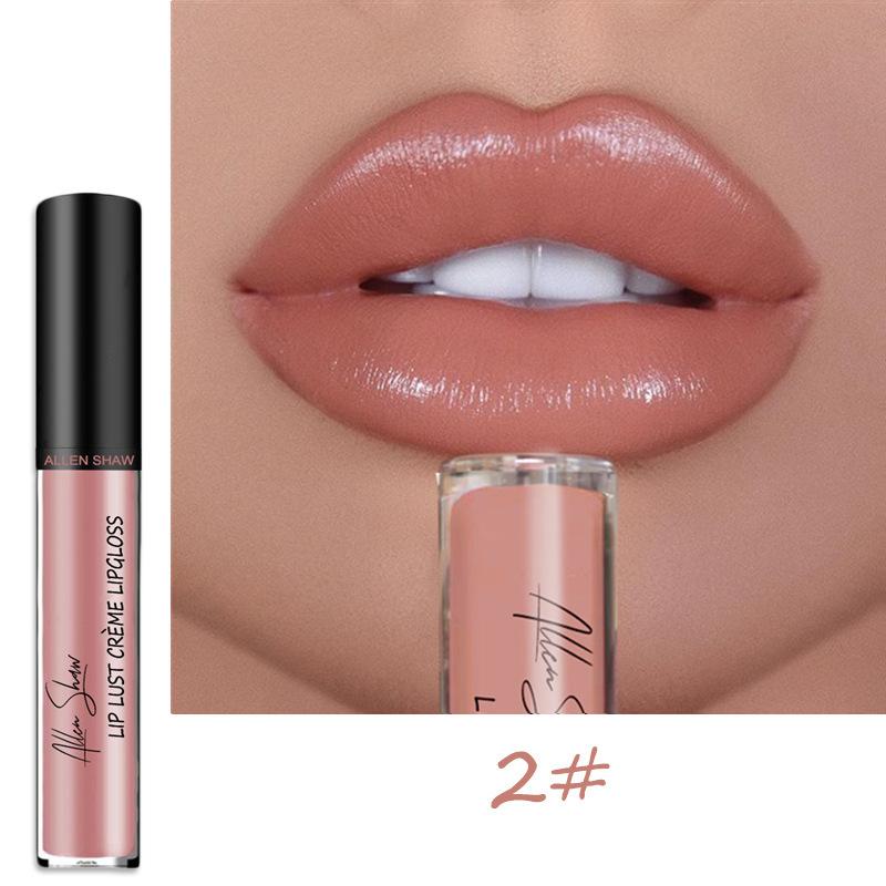 LS02 Lipstick Lip Glaze Allen Shaw Creme Cream Lip Gloss European and American Beauty