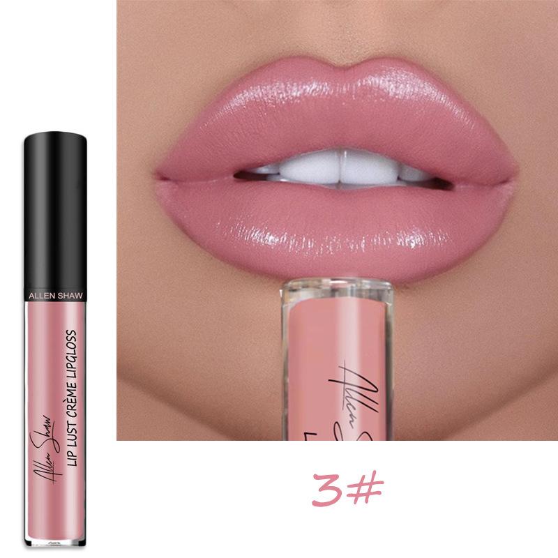 LS02 Lipstick Lip Glaze Allen Shaw Creme Cream Lip Gloss European and American Beauty