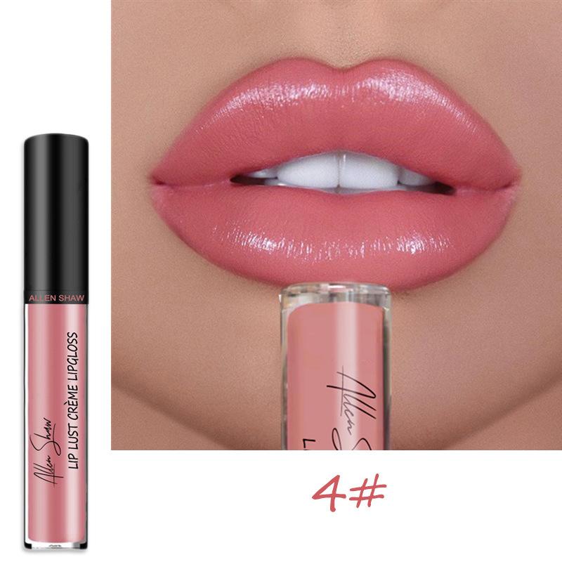 LS02 Lipstick Lip Glaze Allen Shaw Creme Cream Lip Gloss European and American Beauty