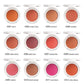 BL02 12 Colors Monochrome Blush