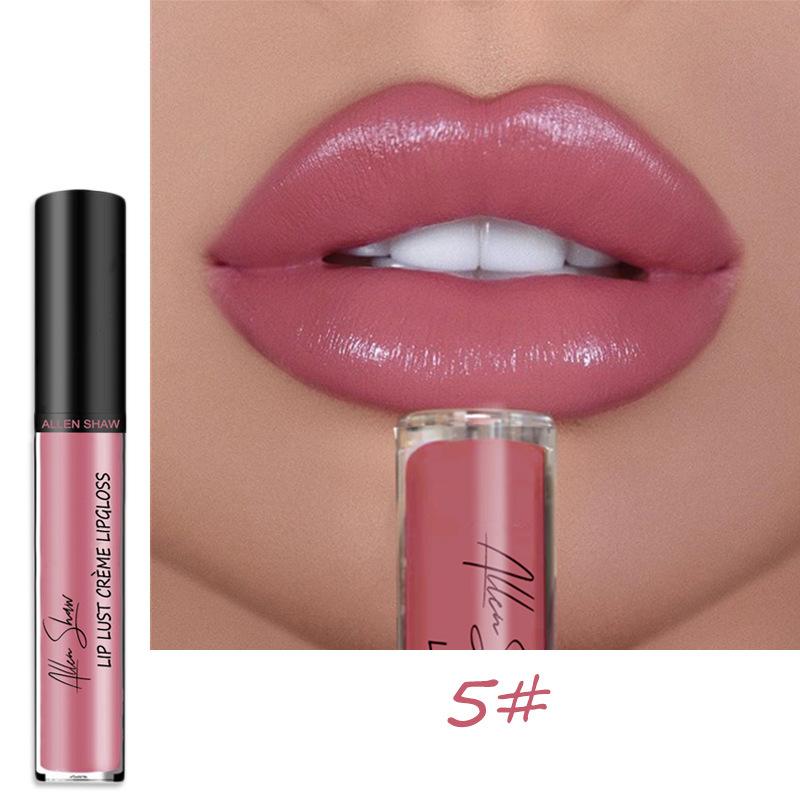 LS02 Lipstick Lip Glaze Allen Shaw Creme Cream Lip Gloss European and American Beauty